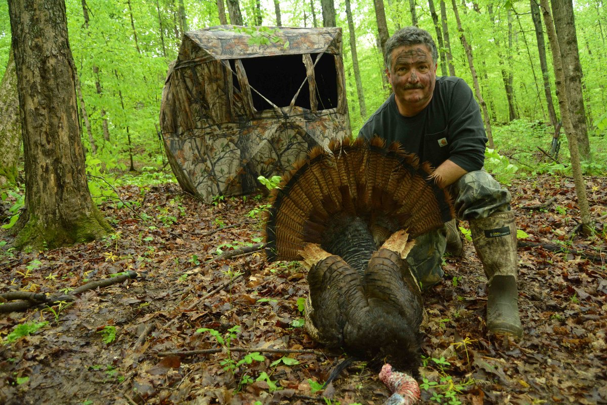 Ground Blind Hunting Tips for Turkeys The Buck Advisors