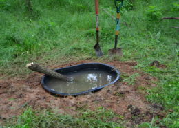 watering hole for deer