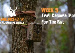 Trail Camera Tips