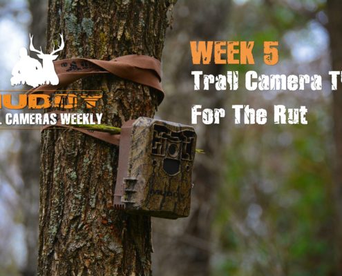 Trail Camera Tips