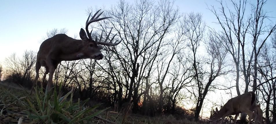 The Buck Advisors Deer Hunting and Deer Filming