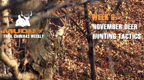 week6